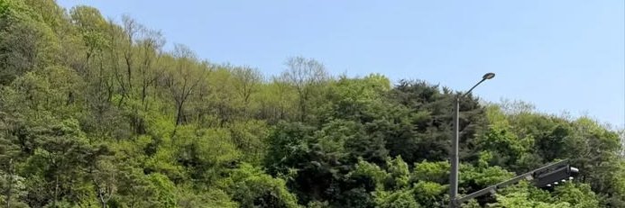 hourly tyun's banner