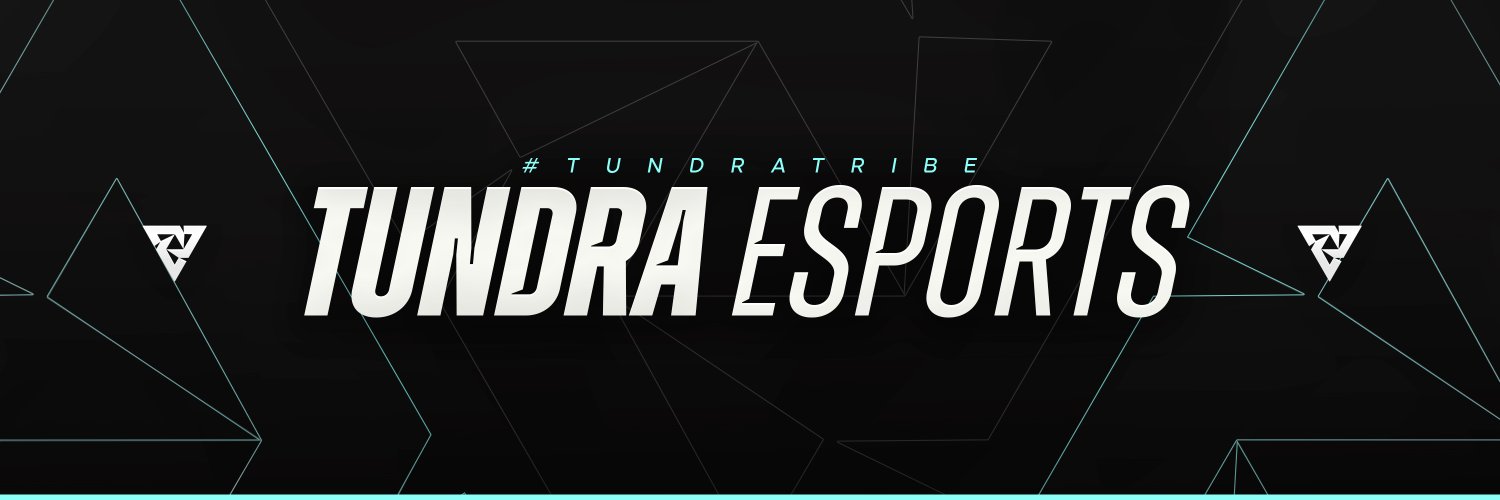 TUNDRA Fortnite's banner
