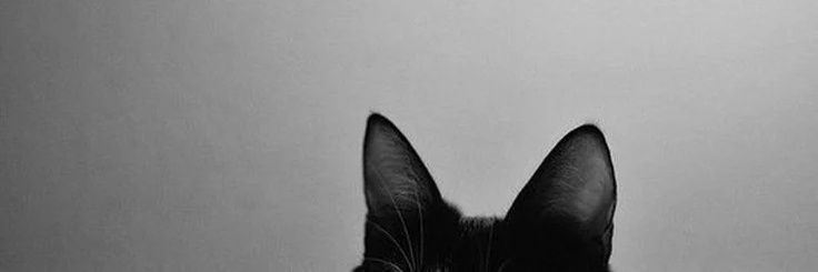 lucy 🐈‍⬛ va a ver skznexz🇦🇷's banner