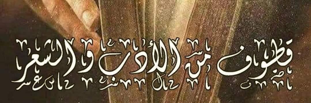 مَجَالِس أَدَبِيَّة's banner
