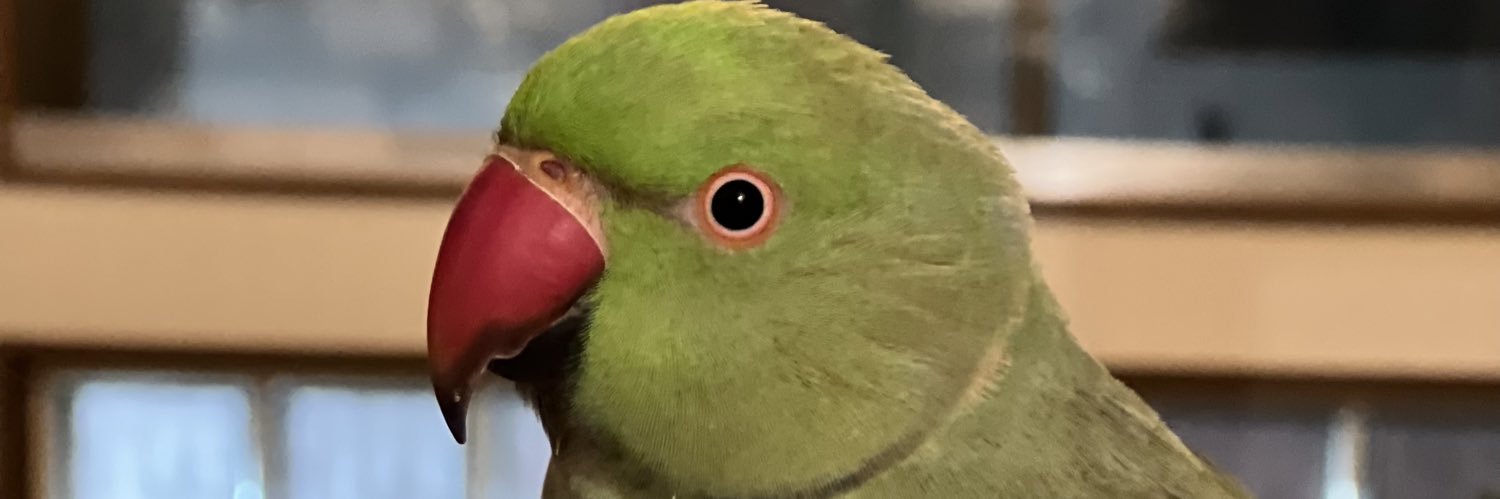 沖メイ🦜MeiOki's banner