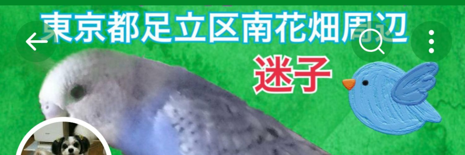 潤 翔's banner