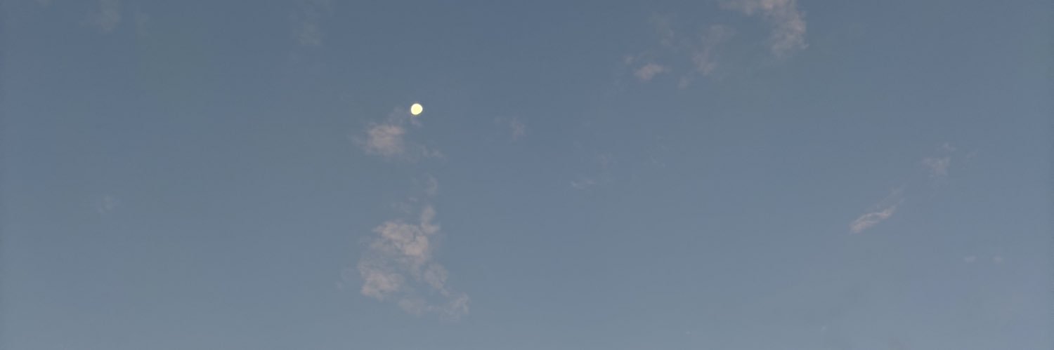ざらめ/Zarame's banner
