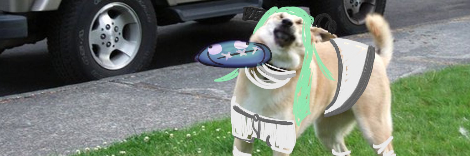 Dawn Catte ➡️ .·°𝘼𝙣𝙞𝙢𝙚 𝙀𝙭𝙥𝙤 2026°·.✨️'s banner