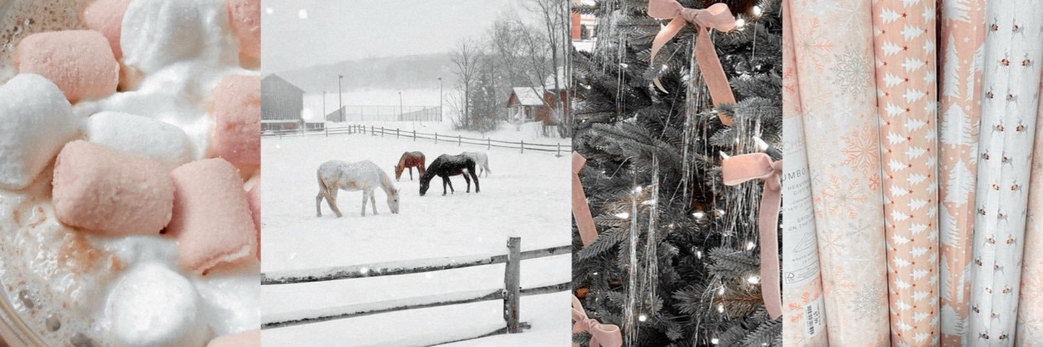 𝓫𝐫𝐨𝐨𝐤𝐥𝐲𝐧's banner