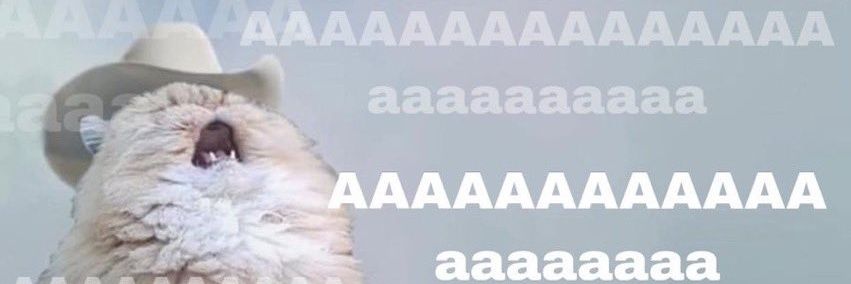 Y A N's banner