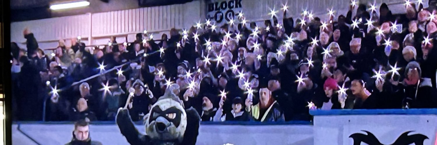 Ospreys Supporters's banner
