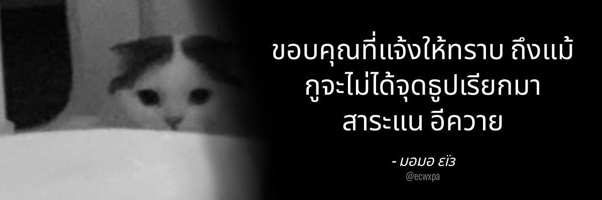 มอมอ's banner