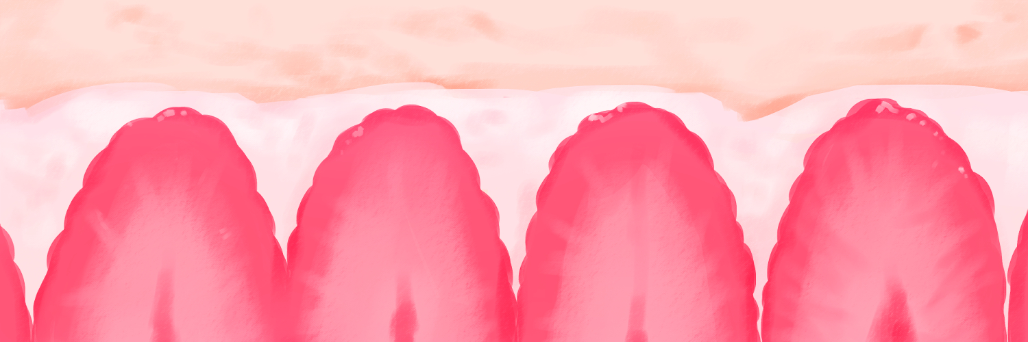 lucky mikka ݁ ˖Ი𐑼⋆'s banner