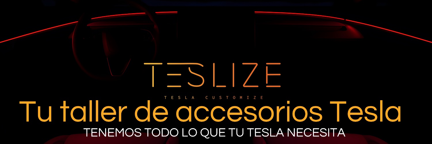 Teslize's banner