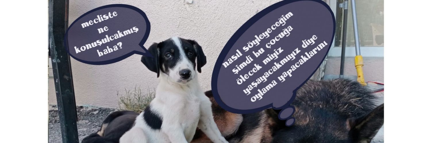 Engelsizpatilereyuva 🐾's banner