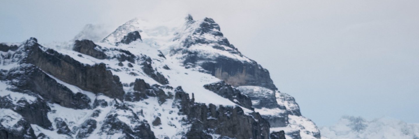 mattos's banner