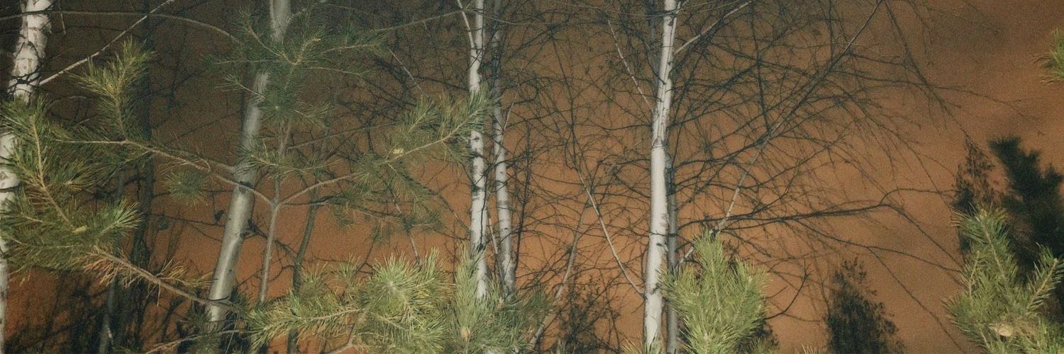 ведьмина избушка 🗝️'s banner