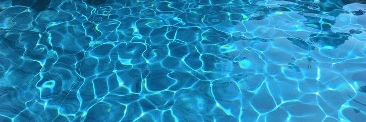 Maxi // Cody ཐི^. ̞.^ཋྀ's banner