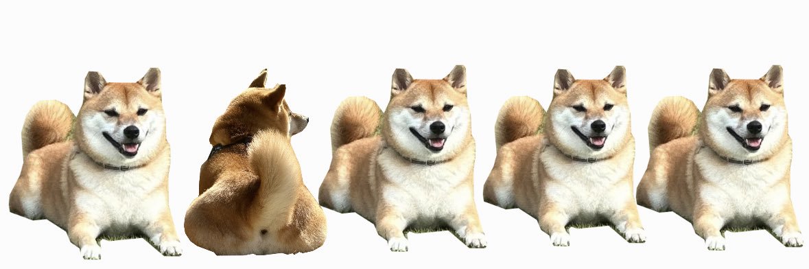 mizua's banner