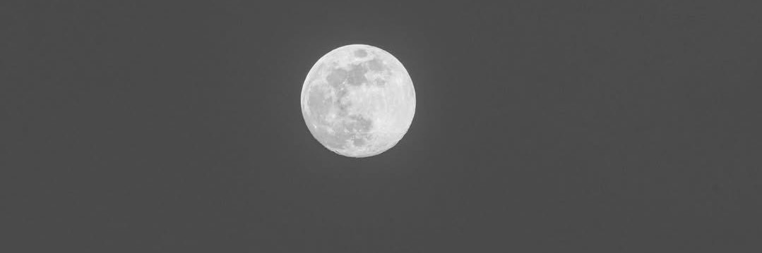 𝒹𝓇𝓌💭's banner
