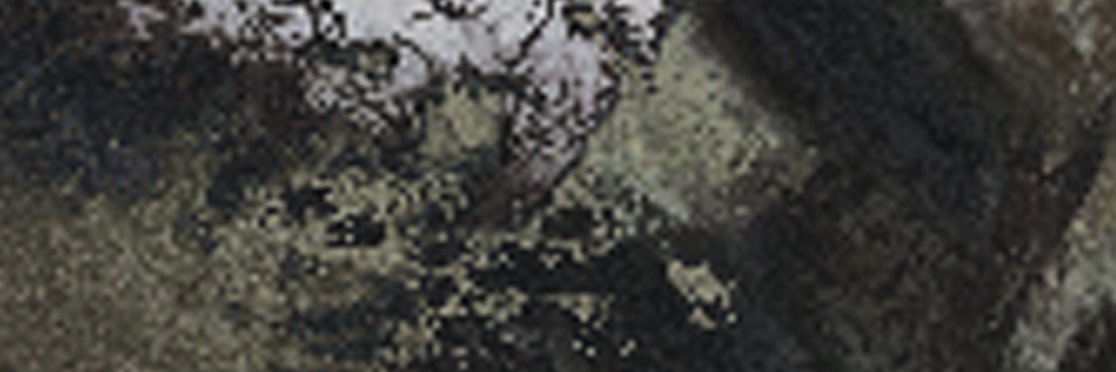 Ultraligera's banner