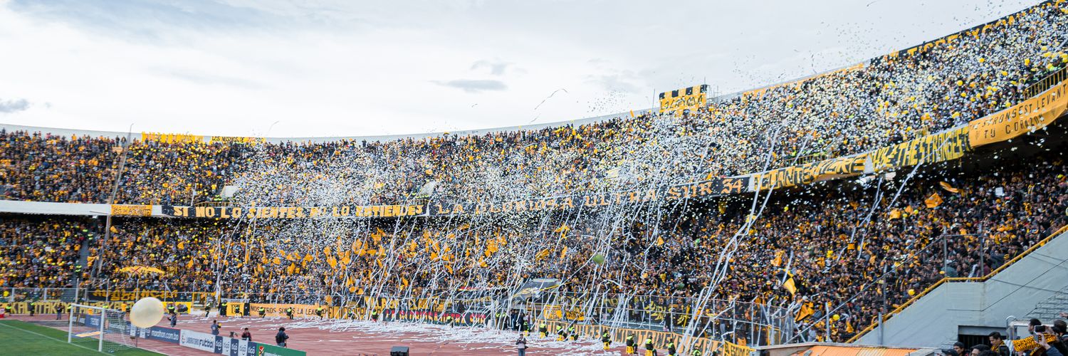 Beto de Vamos Tigre🐯's banner