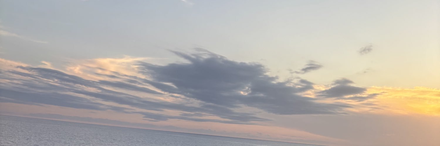 faithlyvu's banner