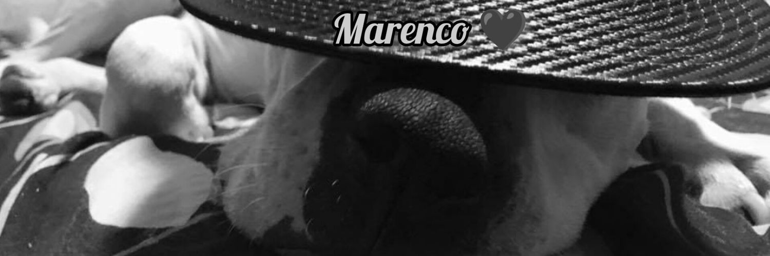 Clau Marenco ☕🐶🐾🖤's banner