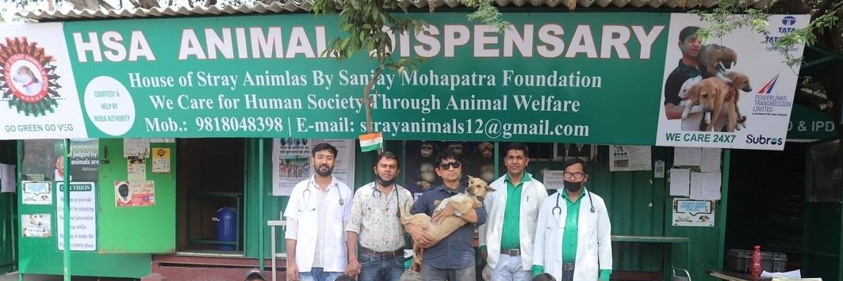 Sanjay Mohapatra The Dog Daddy's banner