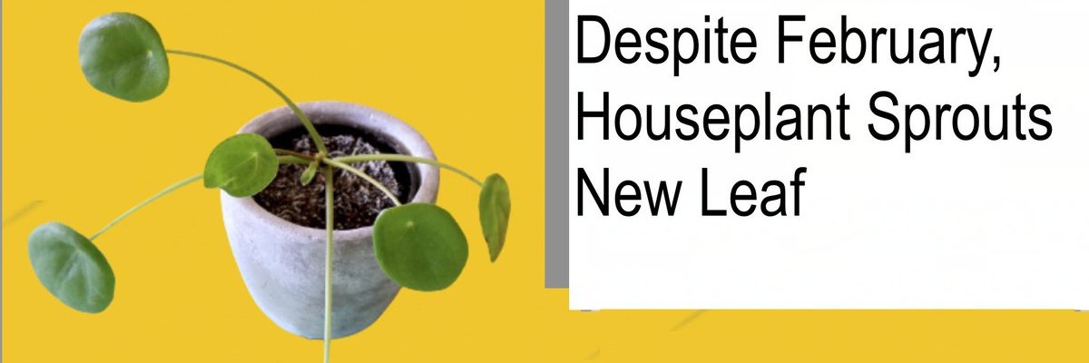 güder daily news's banner