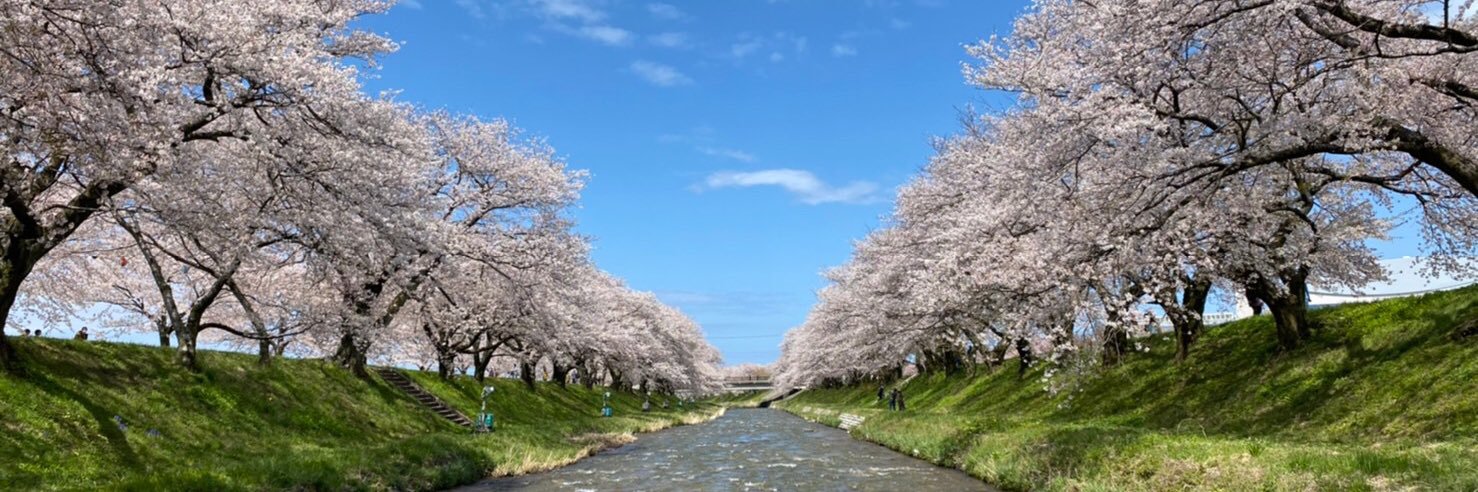 津田なゆこ's banner