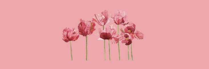 nellie 💕's banner