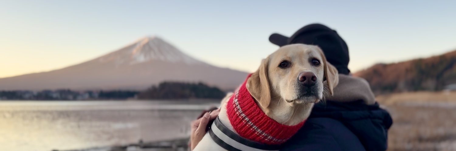 ラブラドールのぼんちゃん(本人)'s banner