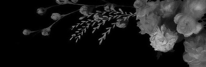 nane ✩'s banner