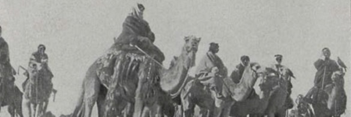 شليويح الرويلي's banner
