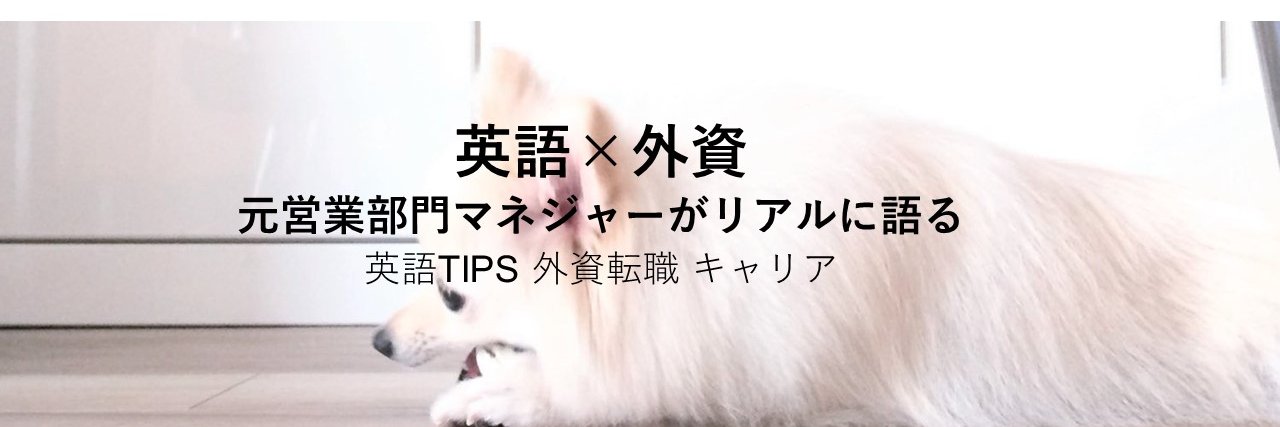 白い恋犬's banner