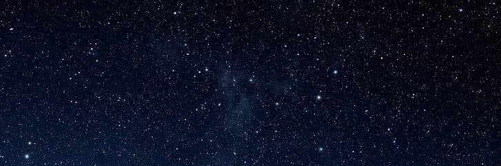 ももせさん、's banner