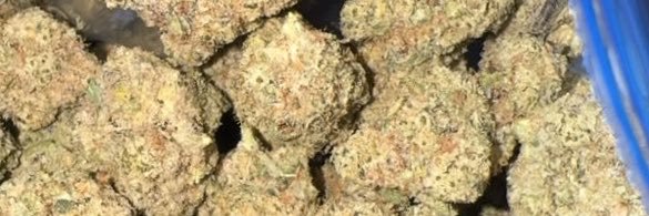 SM💨 with Menduza🚚🍁🍀💨🍃🌱🪴's banner