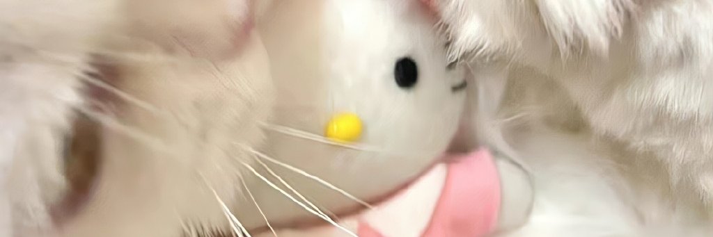 苏比努尔's banner