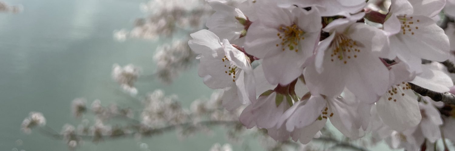 矜持's banner