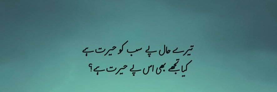 Waseem Khan Sultankhail's banner
