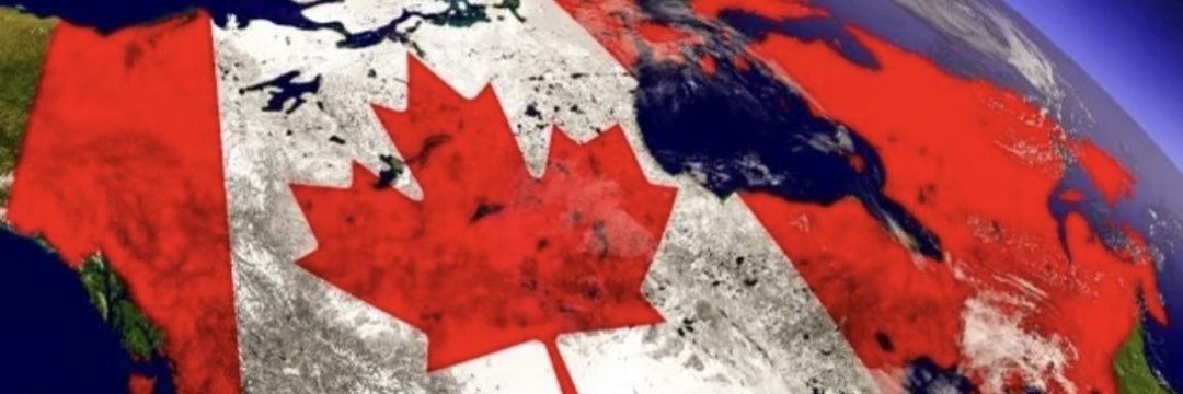 Lynne Brooks 🇨🇦's banner