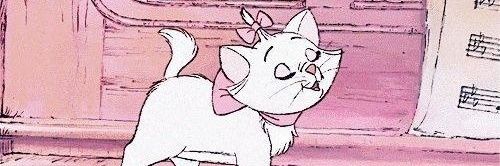 pu 🎀🐈‍⬛🥑's banner