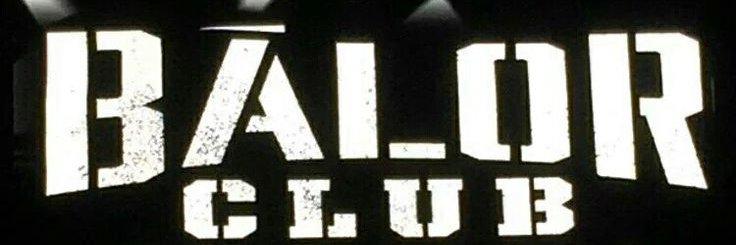 The Visionary Club's banner