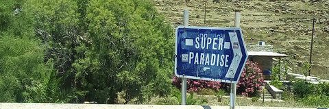 365®︎'s banner