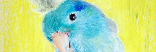 みぃ's banner