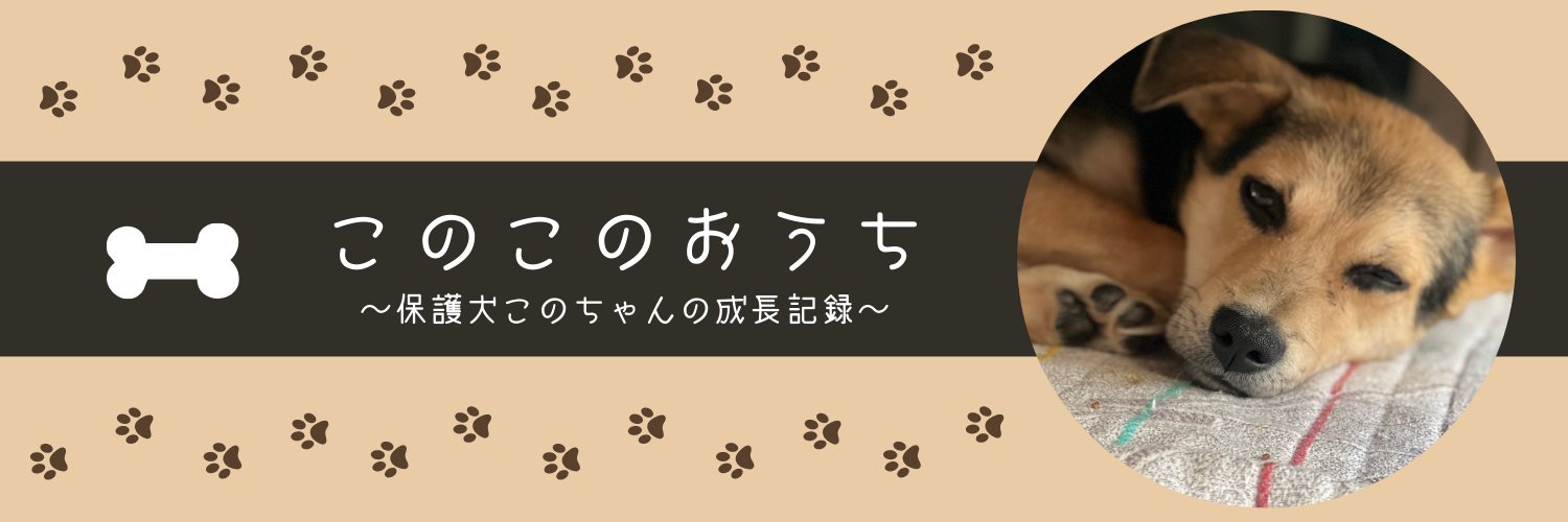 このっち家の住人's banner