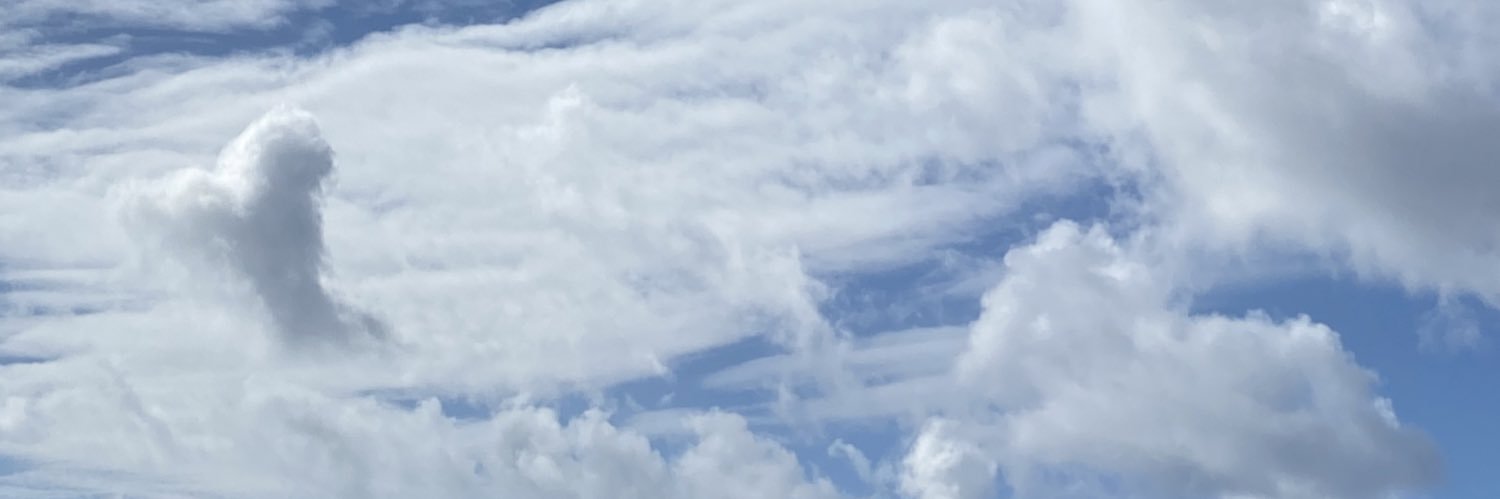 Carla🦋's banner