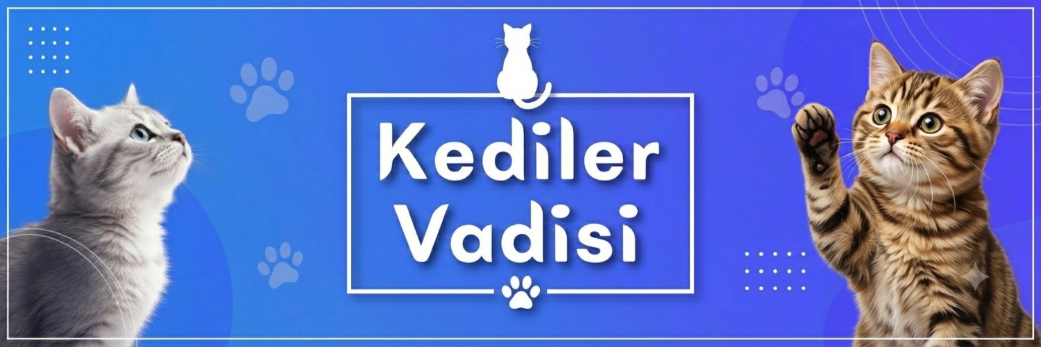 Kediler Vadisi's banner