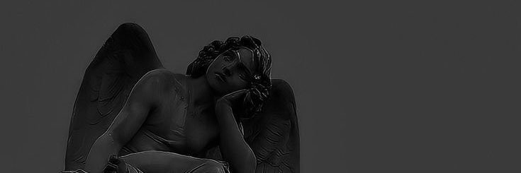 𝕾𝖙𝖆𝖈𝖊𝖞𝖘 𝕸𝖔𝖒 🩶's banner