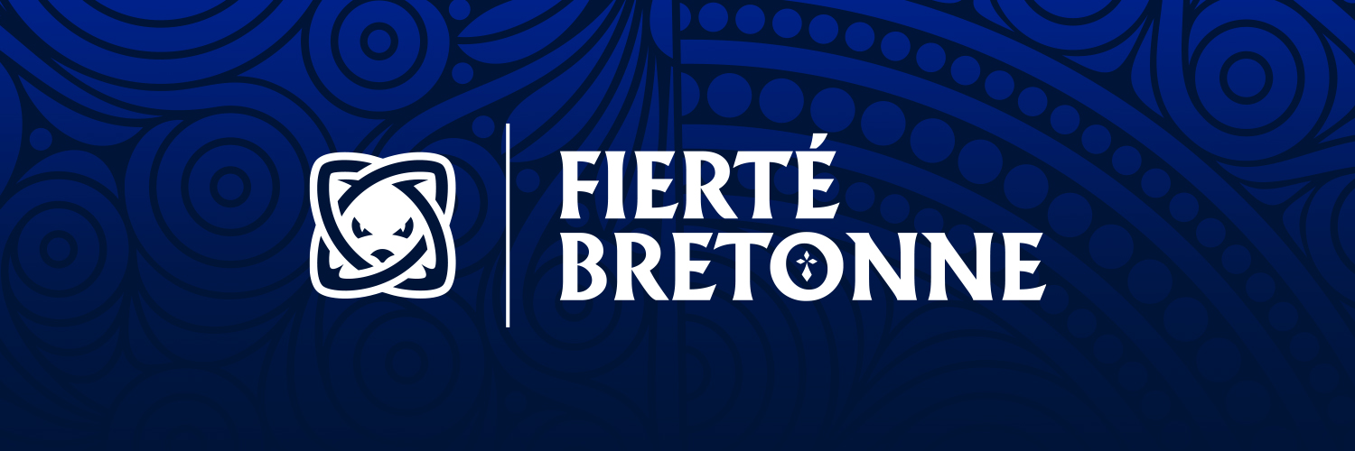 Rugby Club Vannes's banner