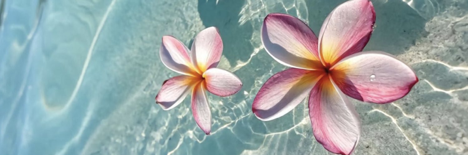 𝐒̧𝐀𝐑𝐀's banner