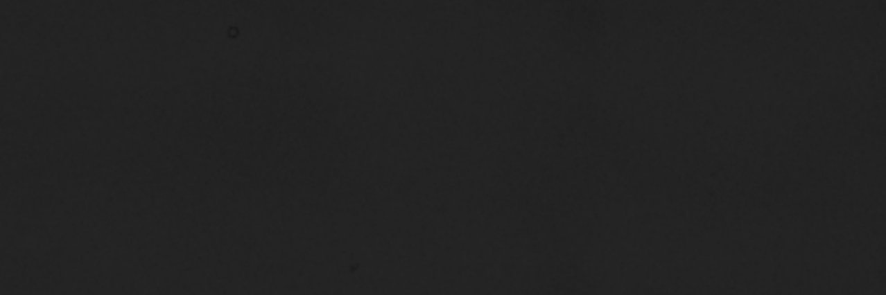 Daniel Dominguez's banner