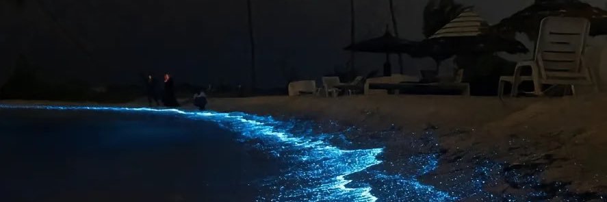 ZYKKK's banner